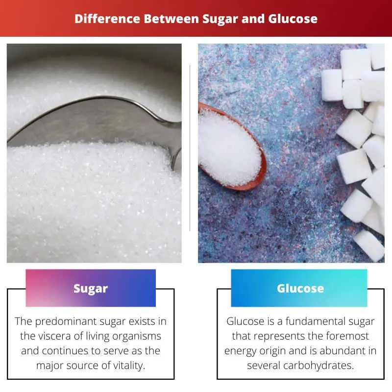 Difference Between Sugar and Glucose