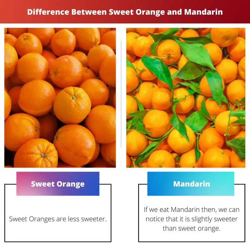 Difference Between Sweet Orange and Mandarin