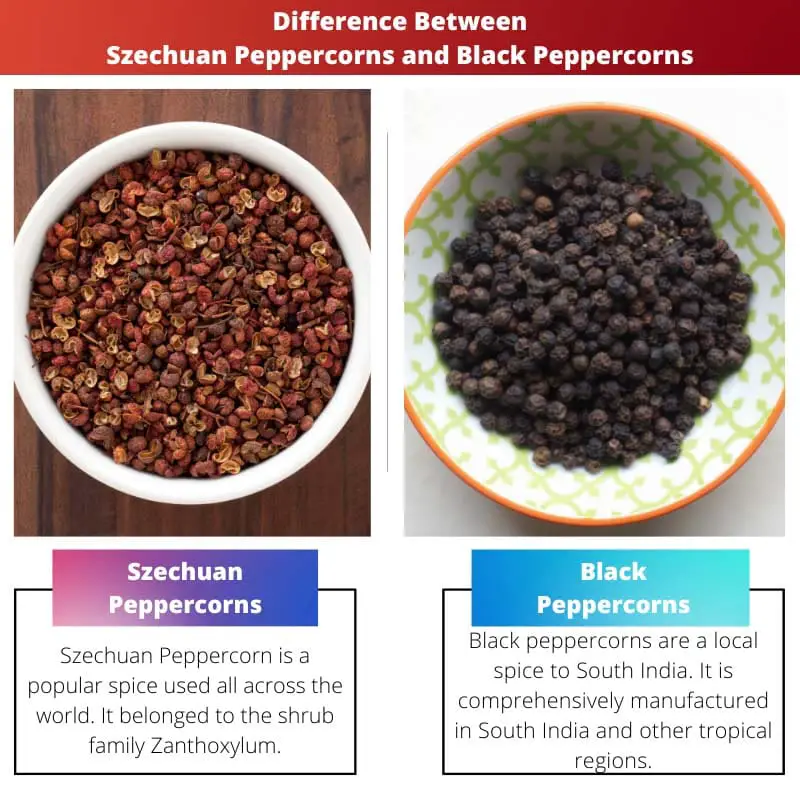 Diferencia entre los granos de pimienta de Szechuan y los granos de pimienta negra