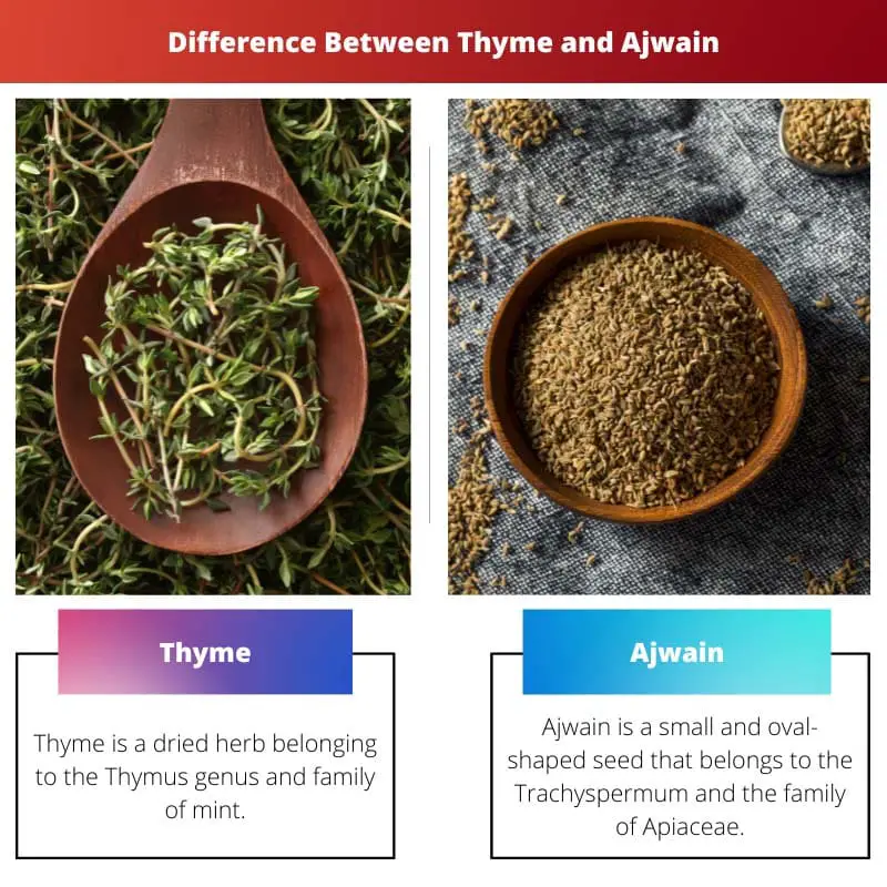 Sự khác biệt giữa cỏ xạ hương và Ajwain