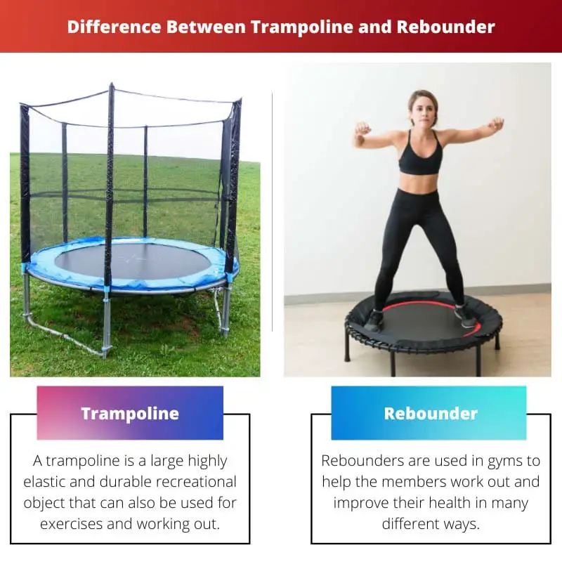 Différence entre trampoline et rebondeur