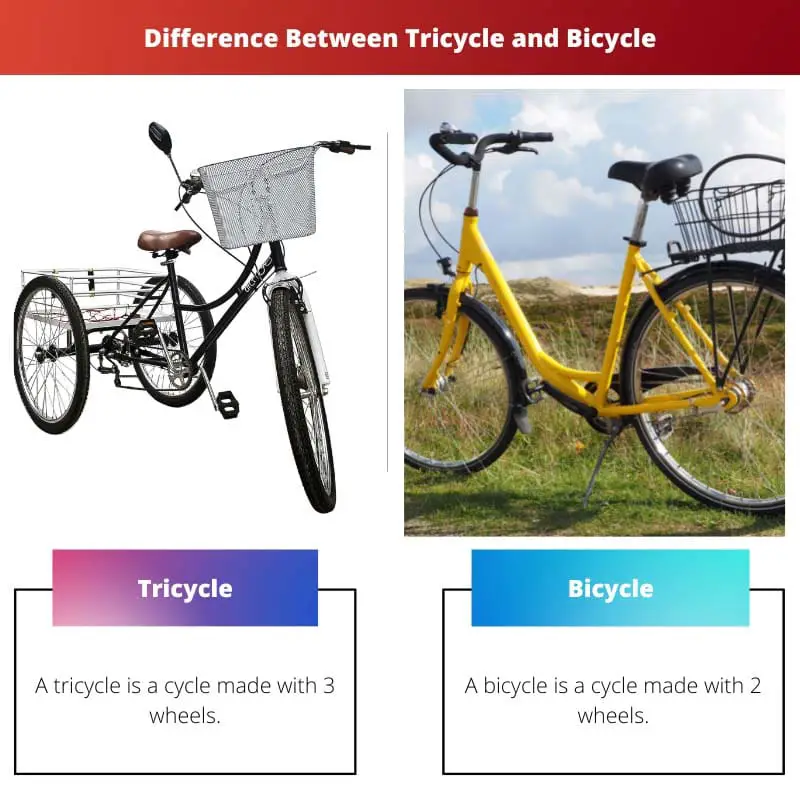 Difference Between Tricycle and Bicycle