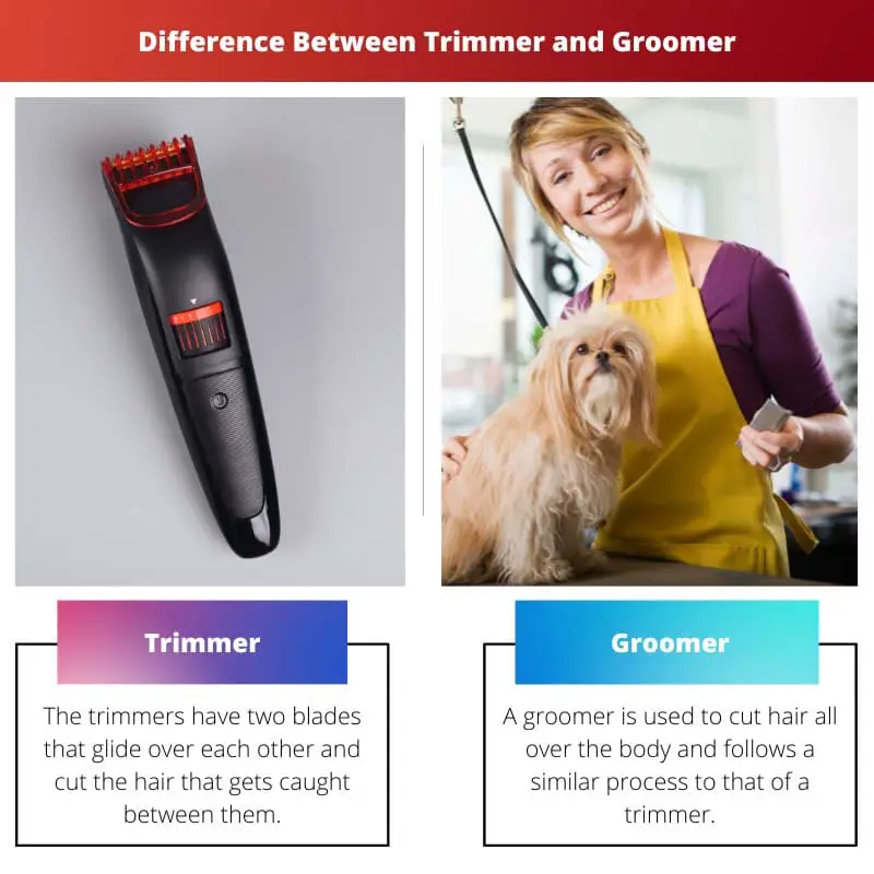 Difference Between Trimmer and Groomer