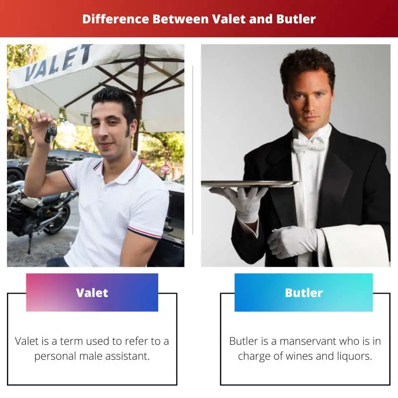 Difference Between Valet and Butler