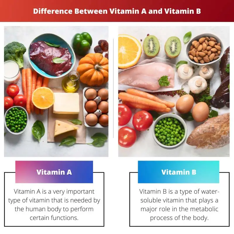 Differenza tra vitamina A e vitamina B