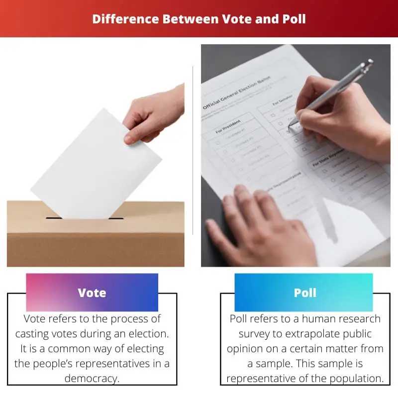 Difference Between Vote and Poll