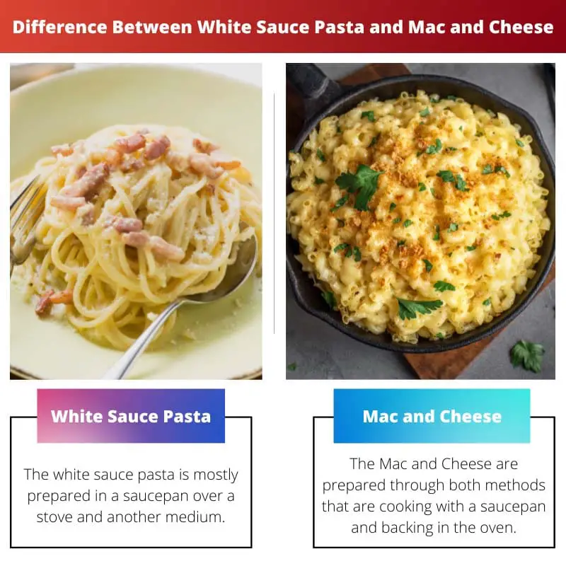 Difference Between White Sauce Pasta and Mac and Cheese
