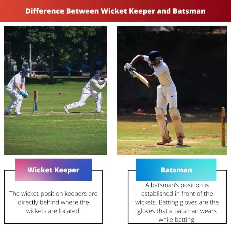 Diferencia entre Wicket Keeper y Batsman