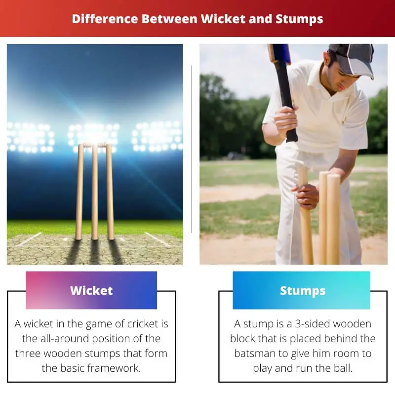 Difference Between Wicket and Stumps