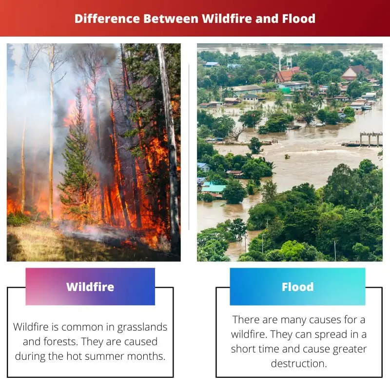 Difference Between Wildfire and Flood