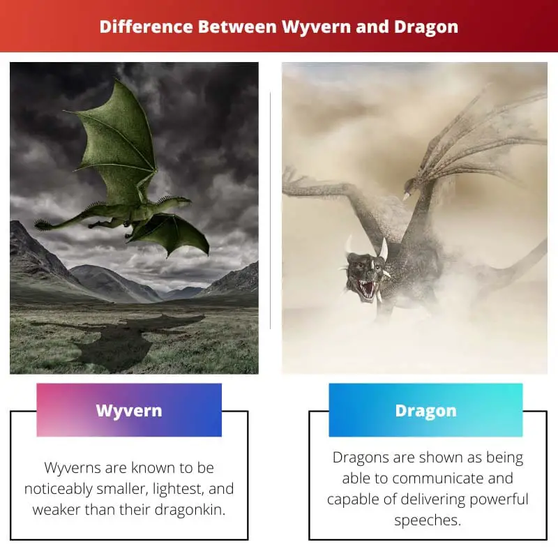 Différence entre Wyvern et Dragon
