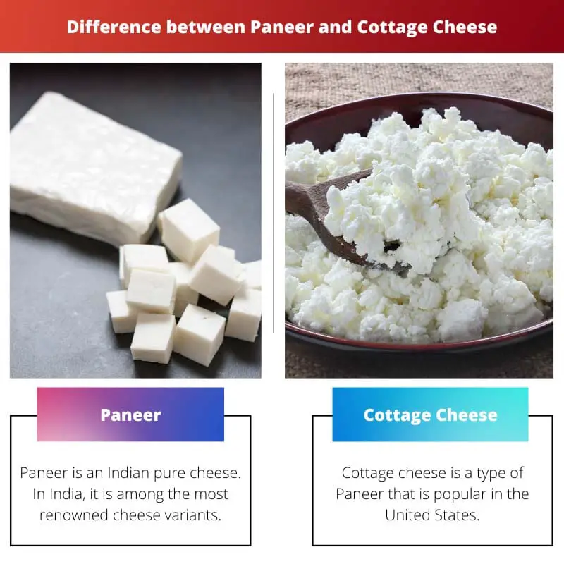 Diferença entre paneer e queijo cottage