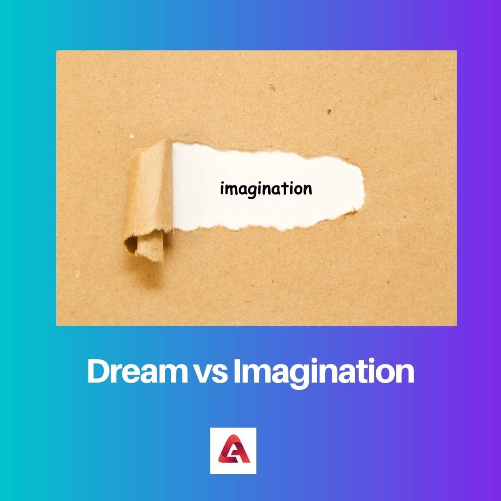 Dream vs Imagination