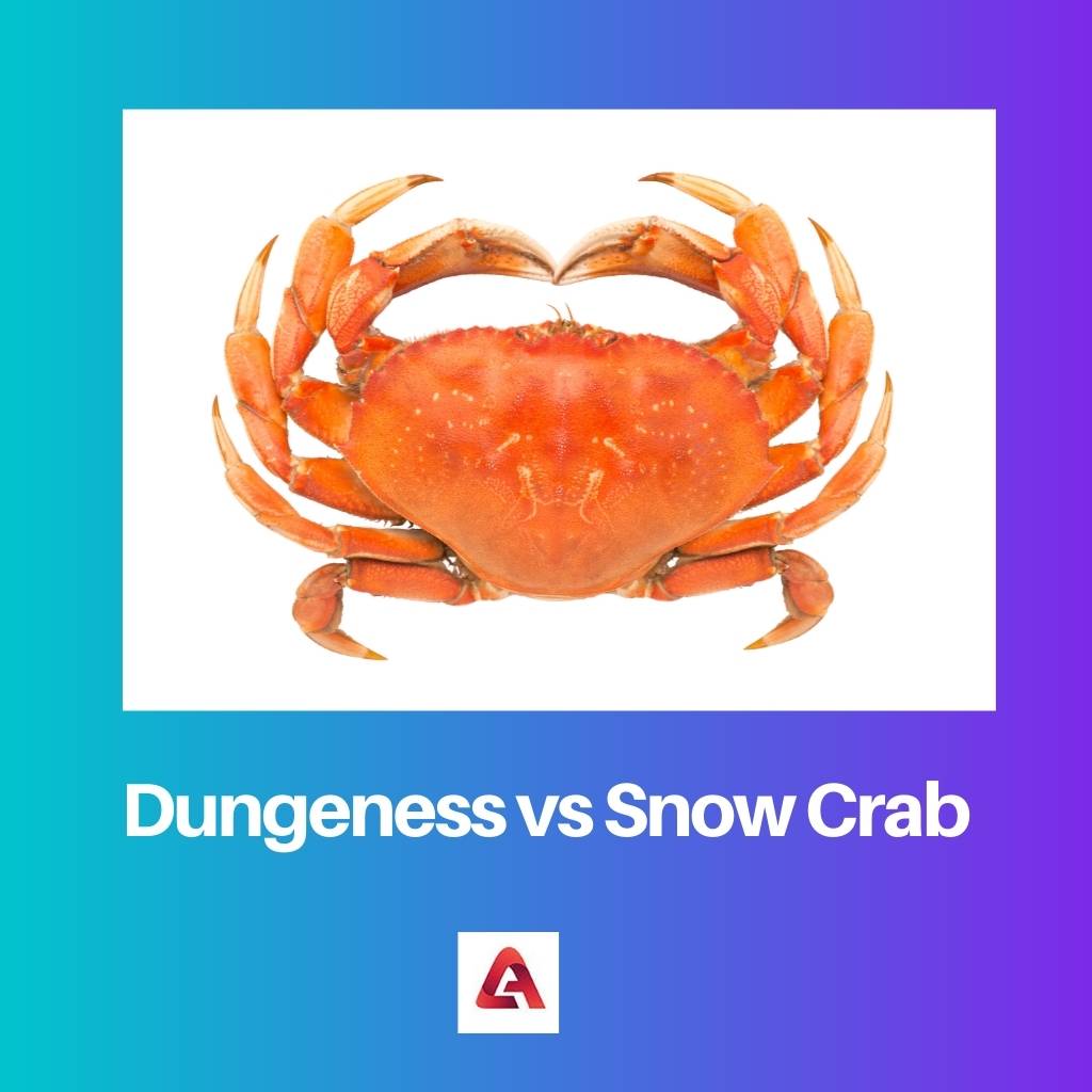Dungeness vs Snow Crab
