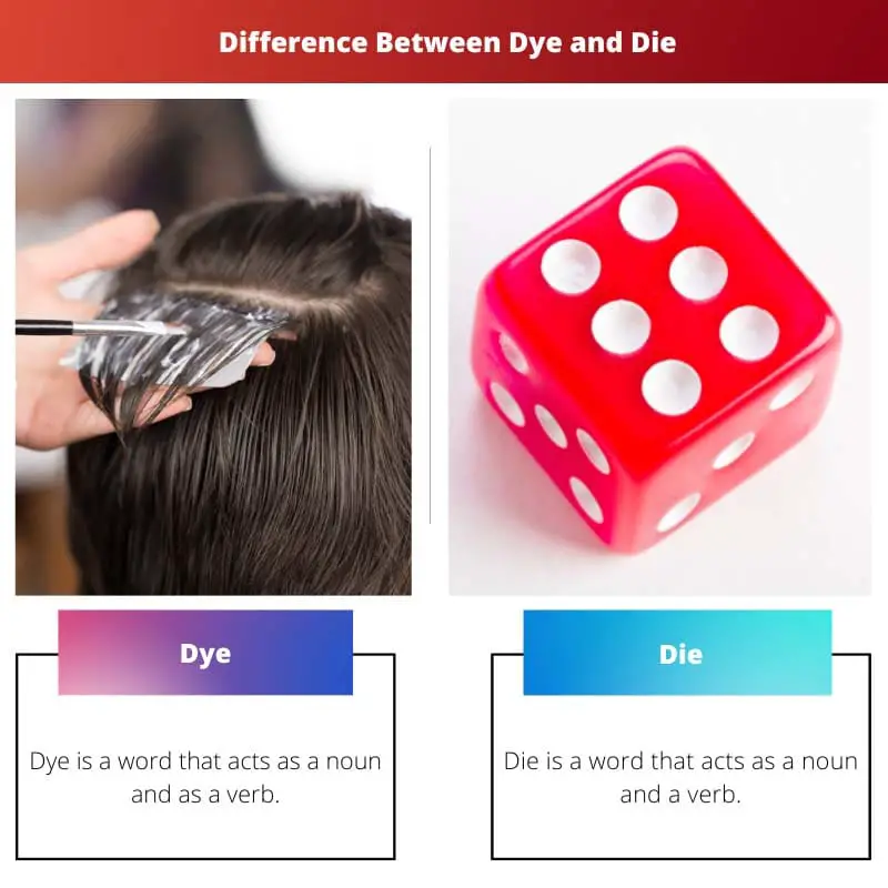 Kleurstof versus Di - Verschil tussen kleurstof en Di