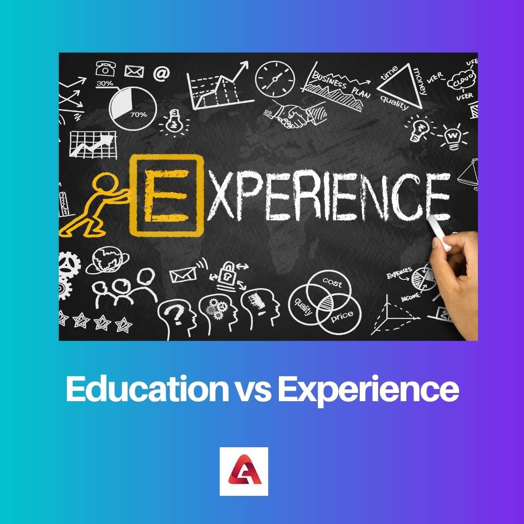 education vs experience essay