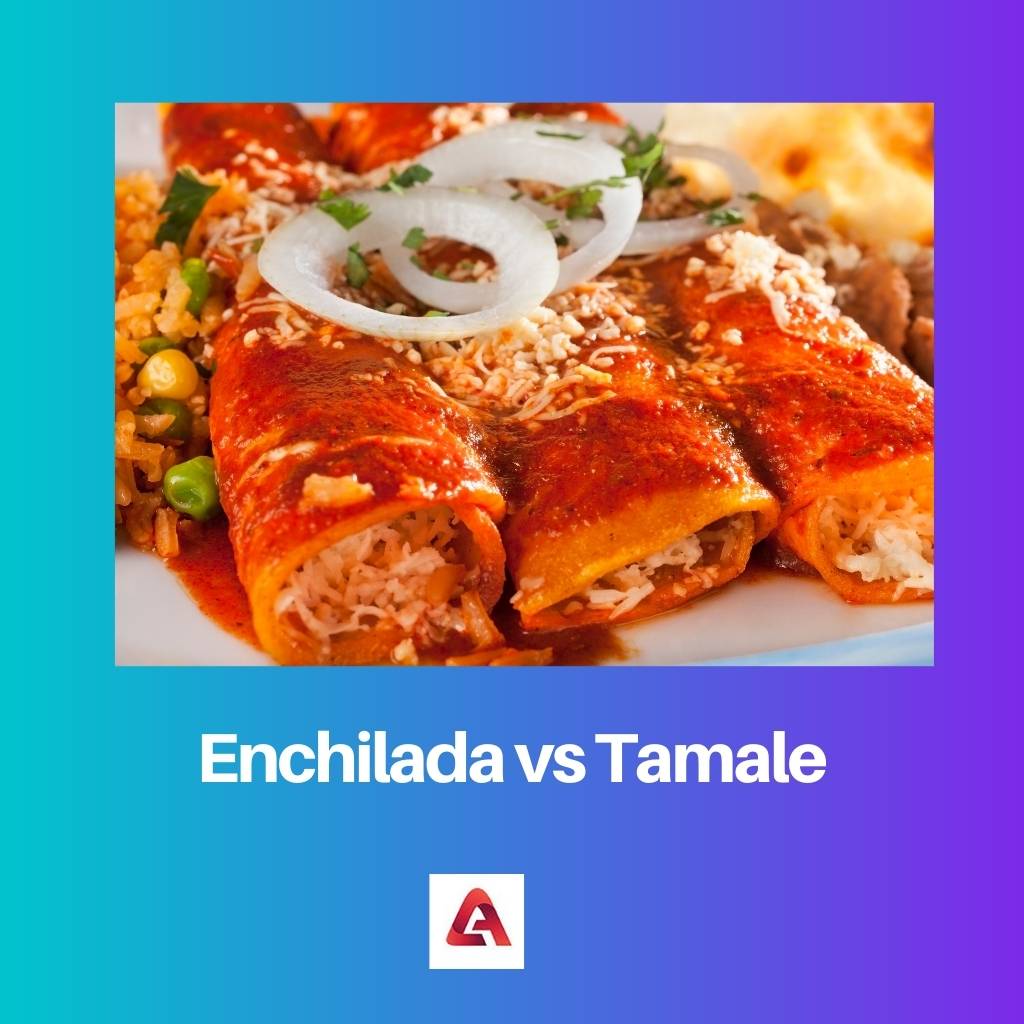 Enchilada contro Tamale
