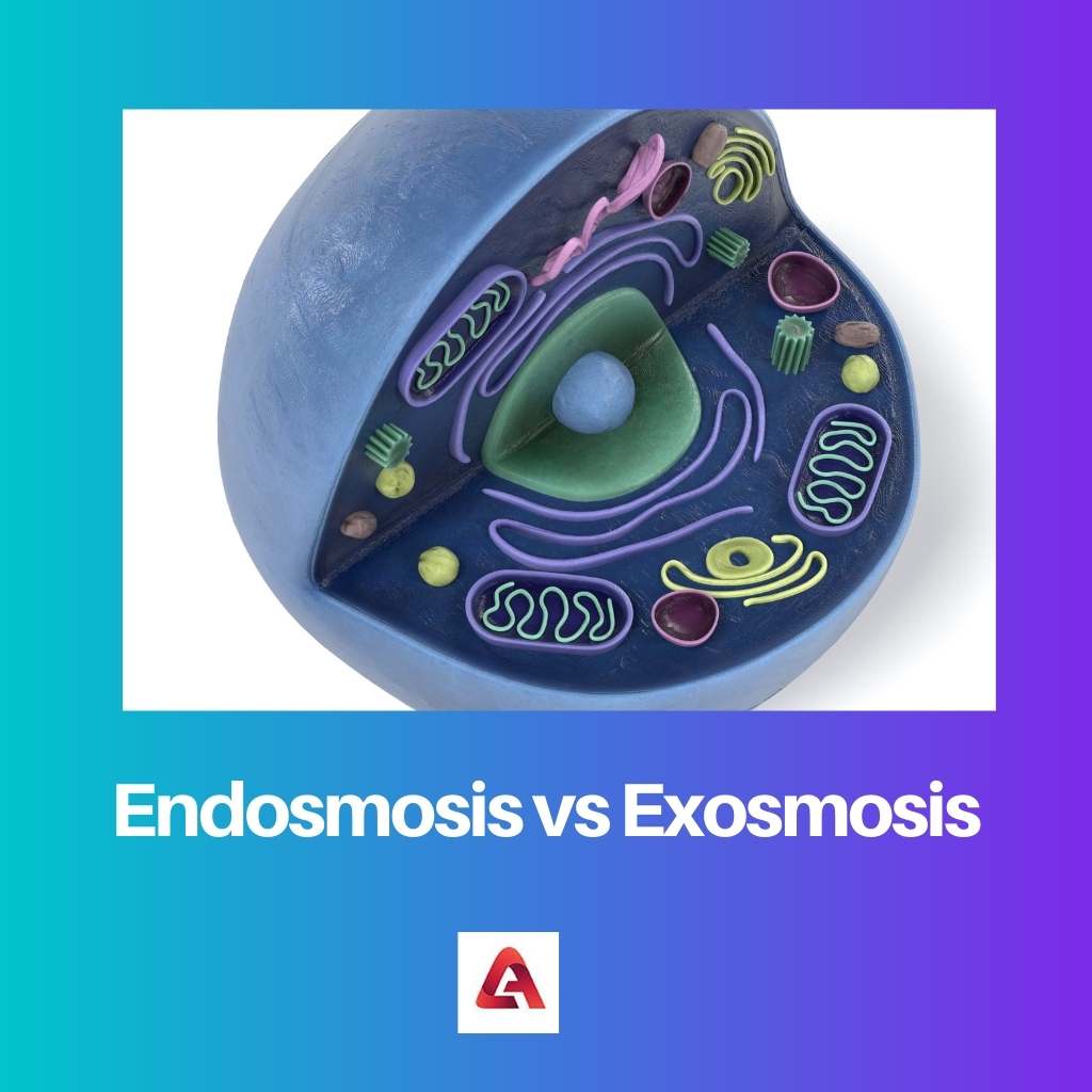 Endosmosis vs