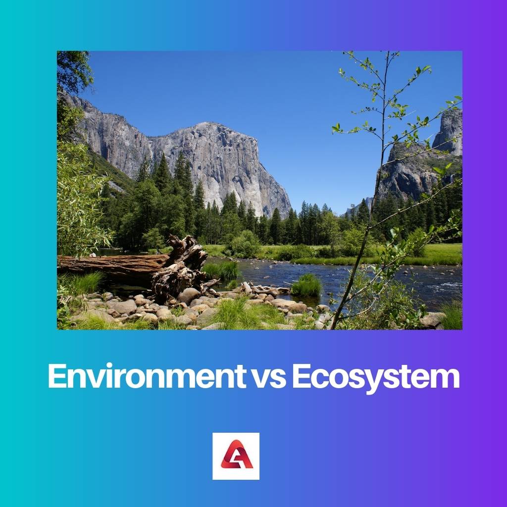 Environment vs Ecosystem