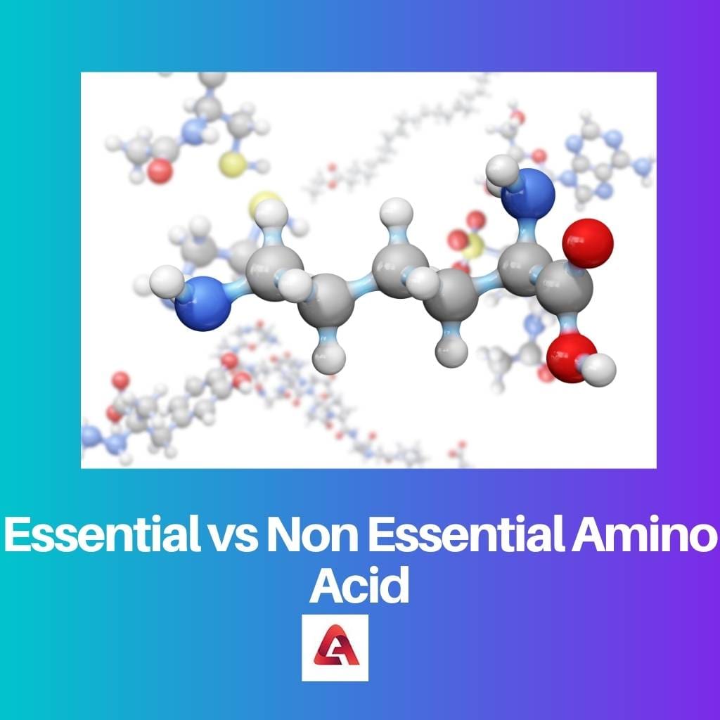 Aminoácido esencial vs no esencial