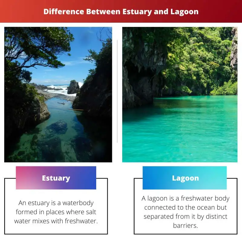 Ústí vs laguna – rozdíl mezi ústím a lagunou