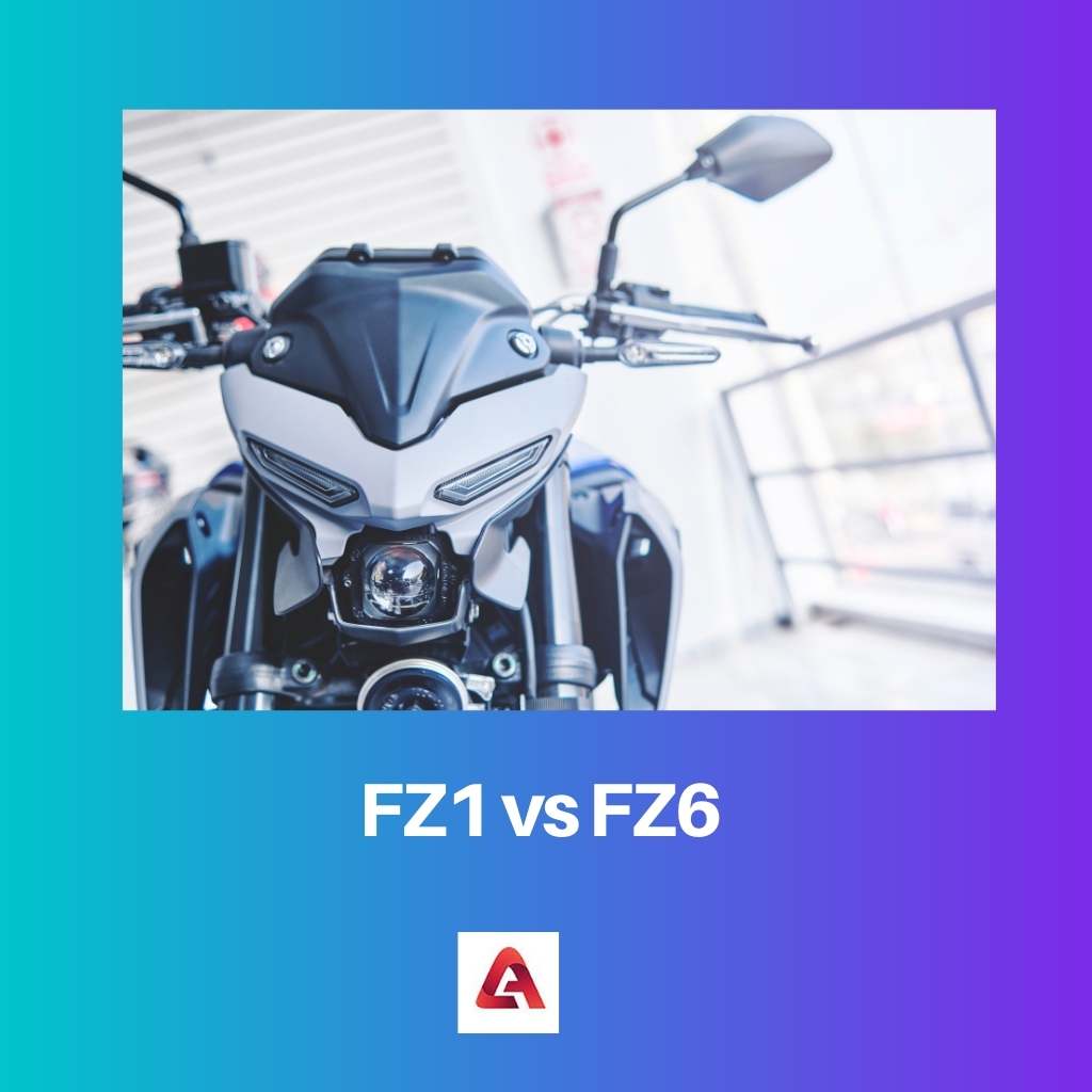 FZ1 versus FZ6