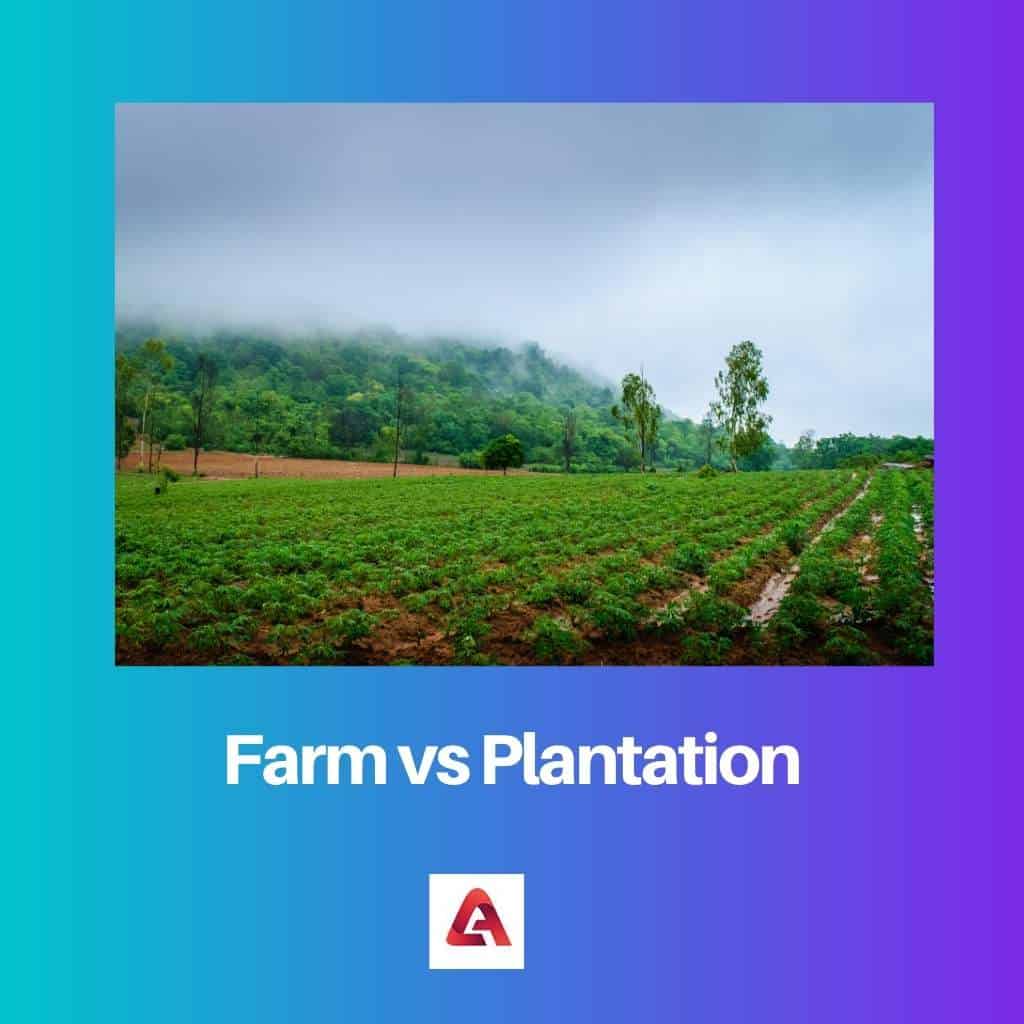 Fazenda x Plantação