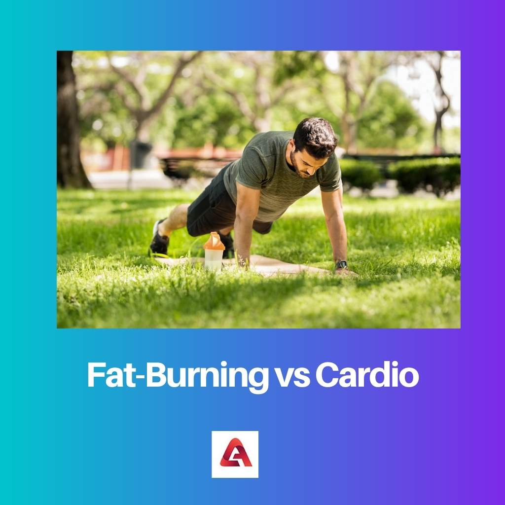 Combustion des graisses vs Cardio