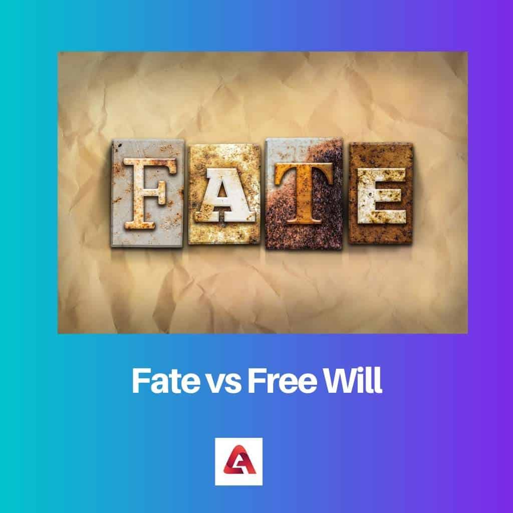 fate vs free will essay conclusion