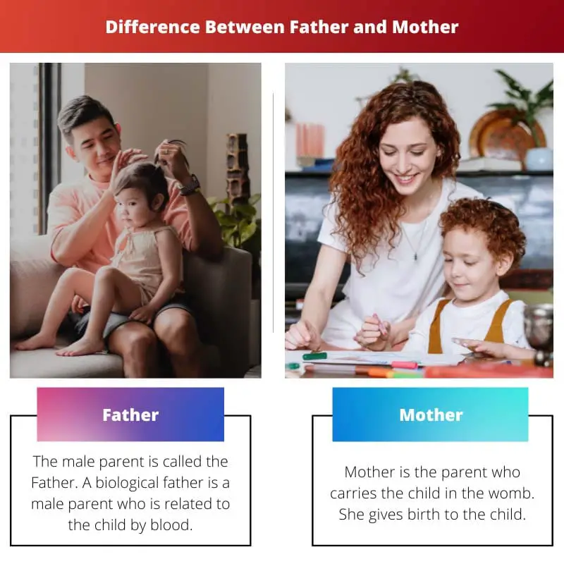 Tēvs pret māti - atšķirība starp tēvu un māti