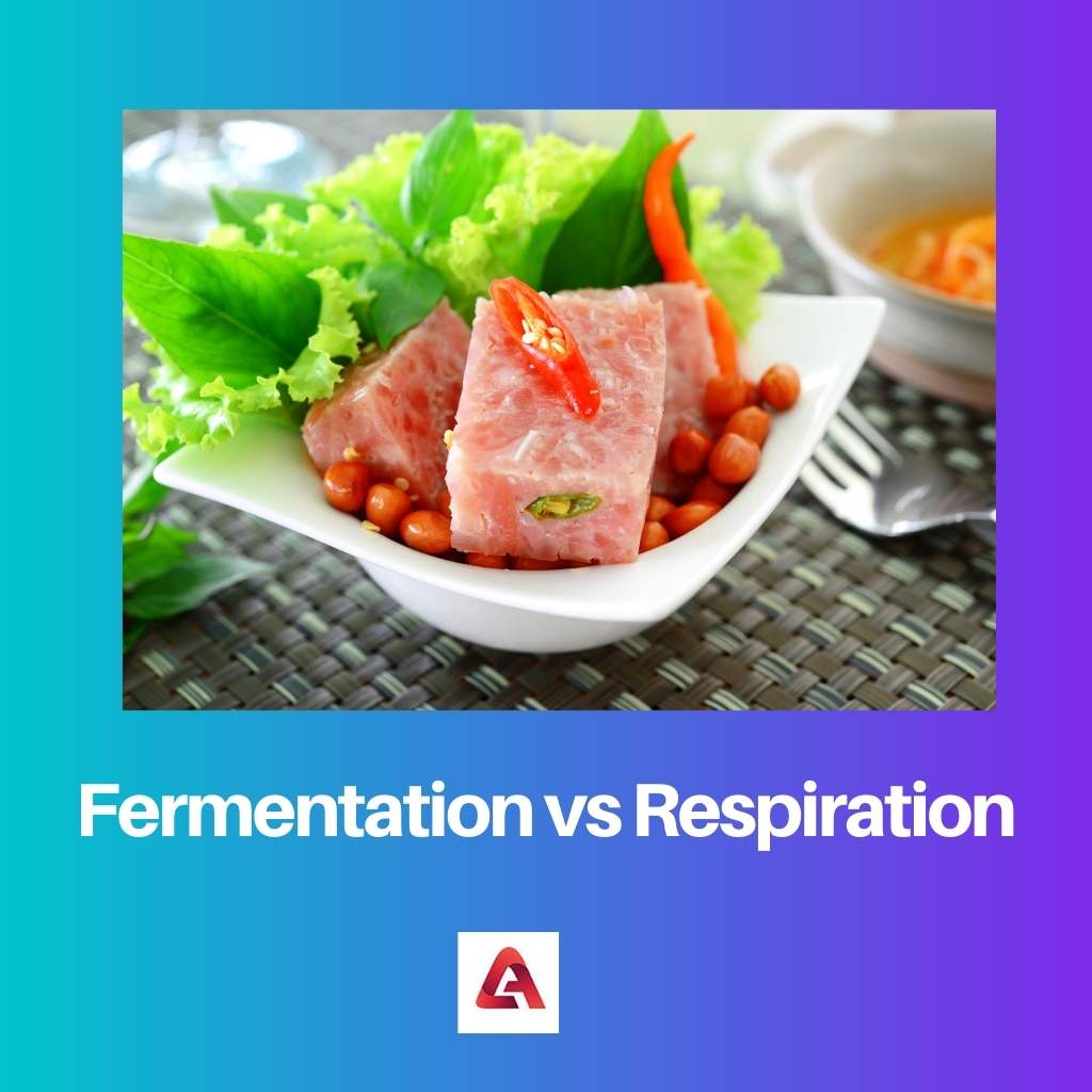 Fermentatie versus ademhaling