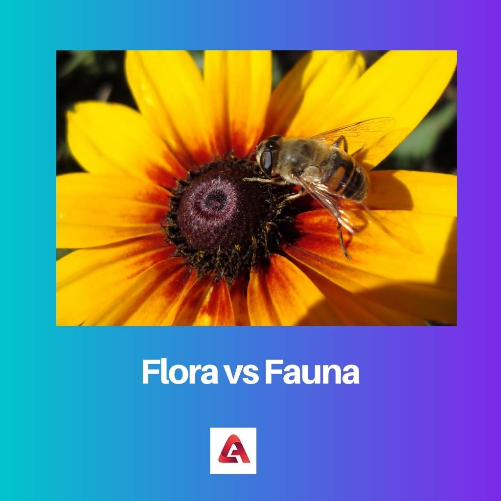 Flora versus fauna