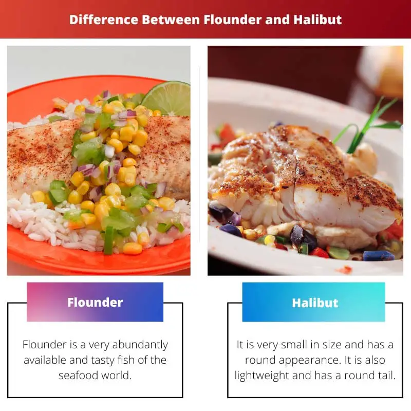 Flounder vs Halibut – Sự khác biệt giữa Flounder và Halibut