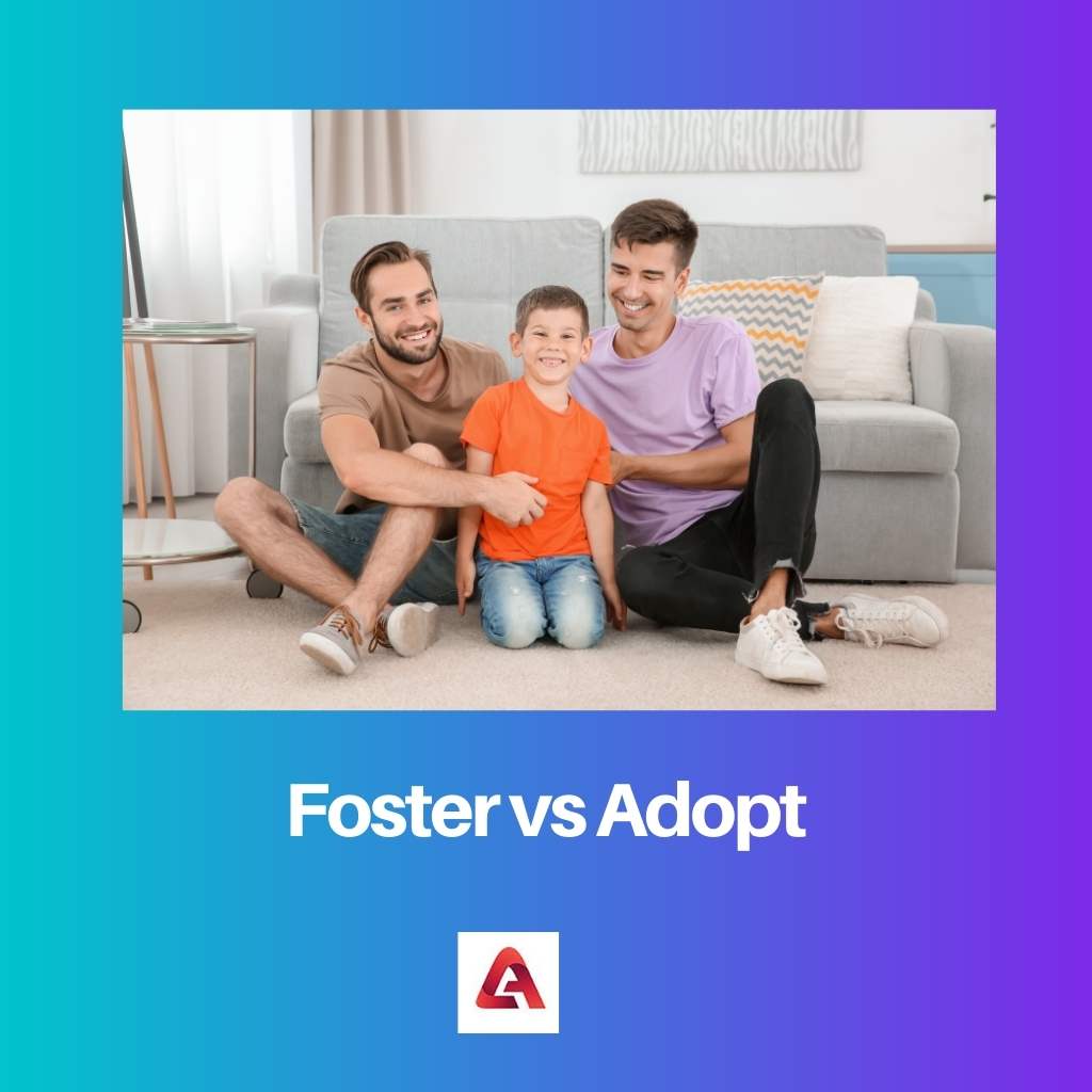 Foster vs Adoptieren