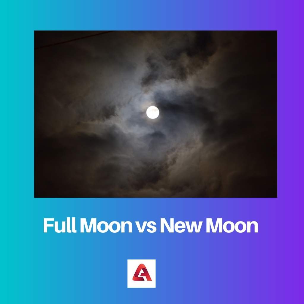 Full Moon vs New Moon