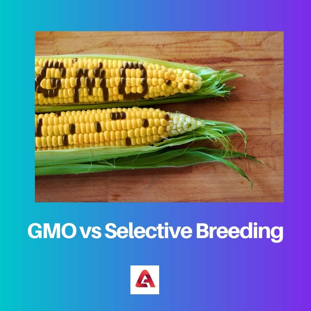OGM vs Reprodução Seletiva