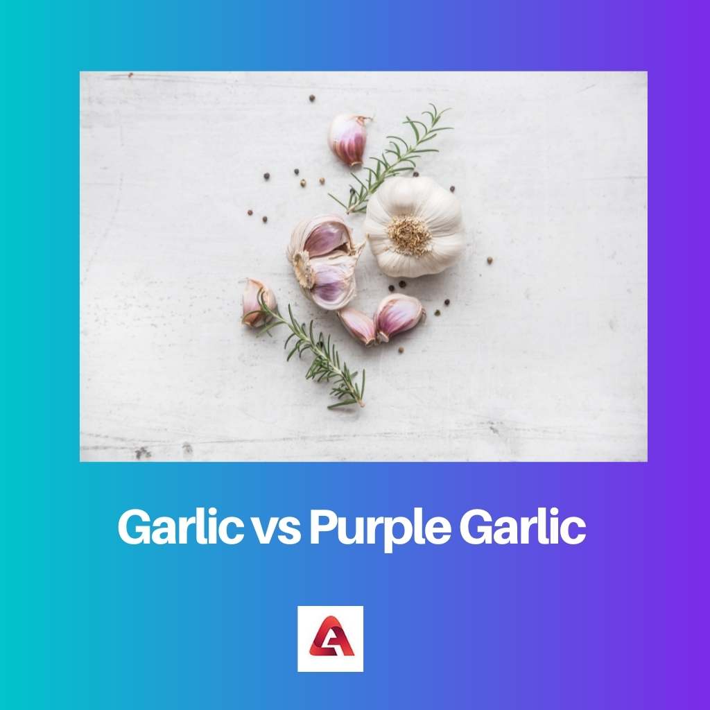 Ail vs ail violet