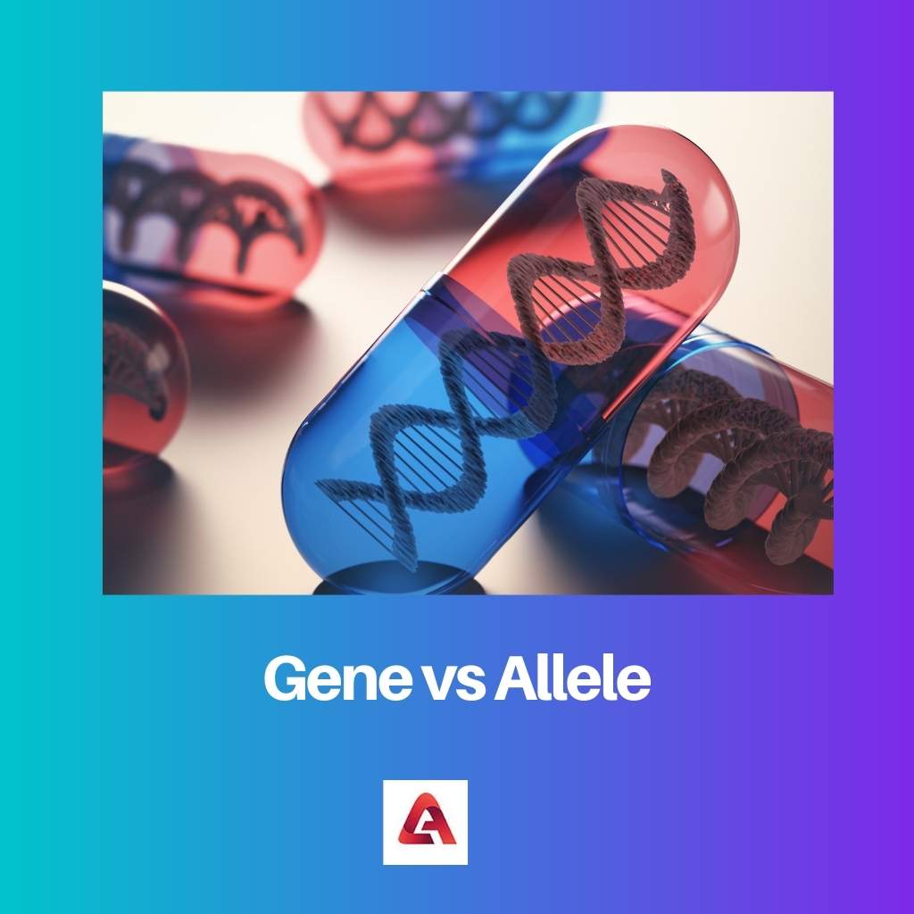 Gen vs alelo
