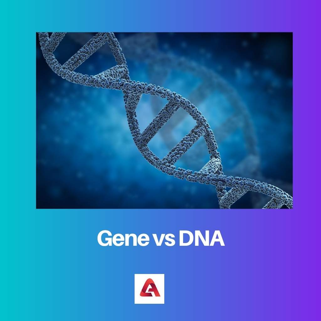 Gen vs DNA