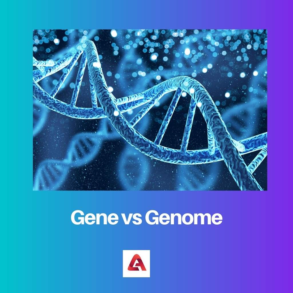 Gen gegen Genom