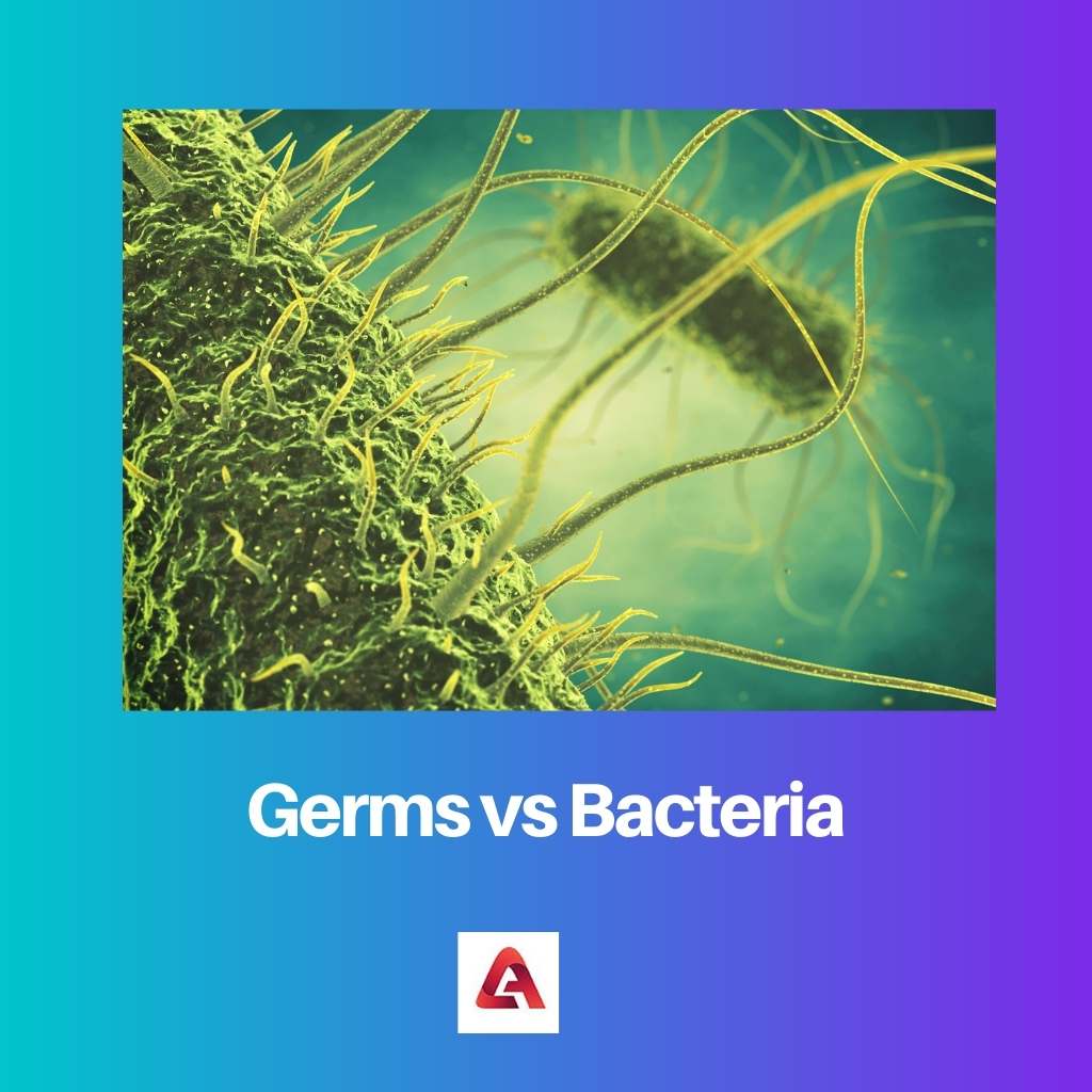 الجراثيم مقابل البكتيريا