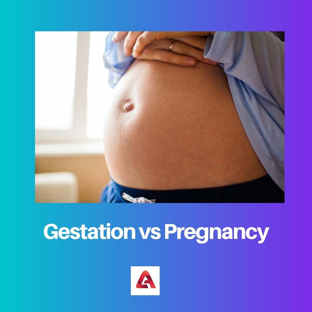 Gestation vs Pregnancy