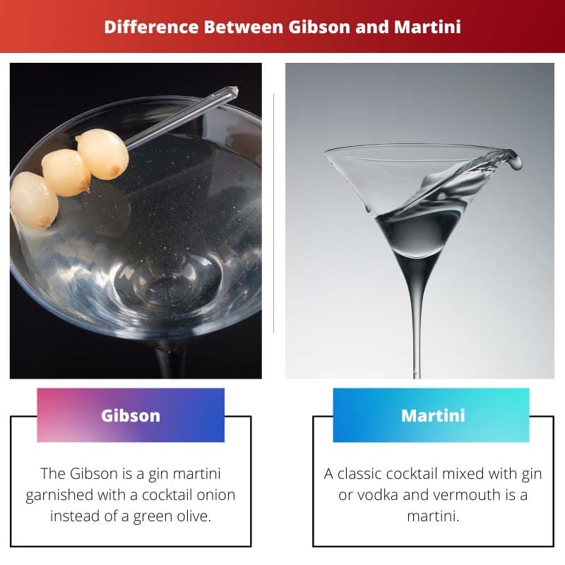 Gibson vs Martini - Verschil tussen Gibson en Martini