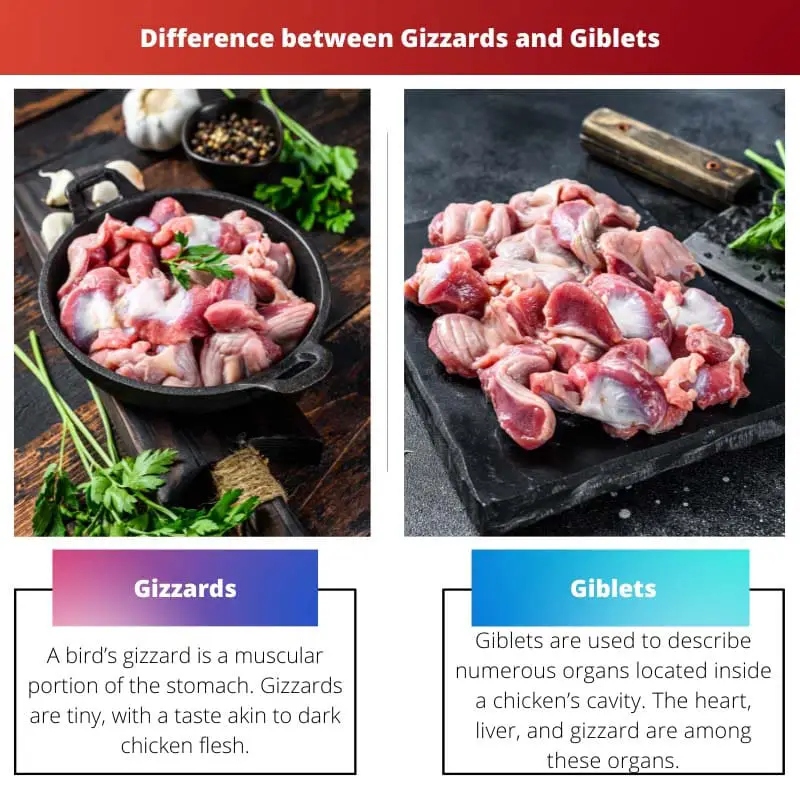 Gizzards vs Giblets – Quais são as diferenças