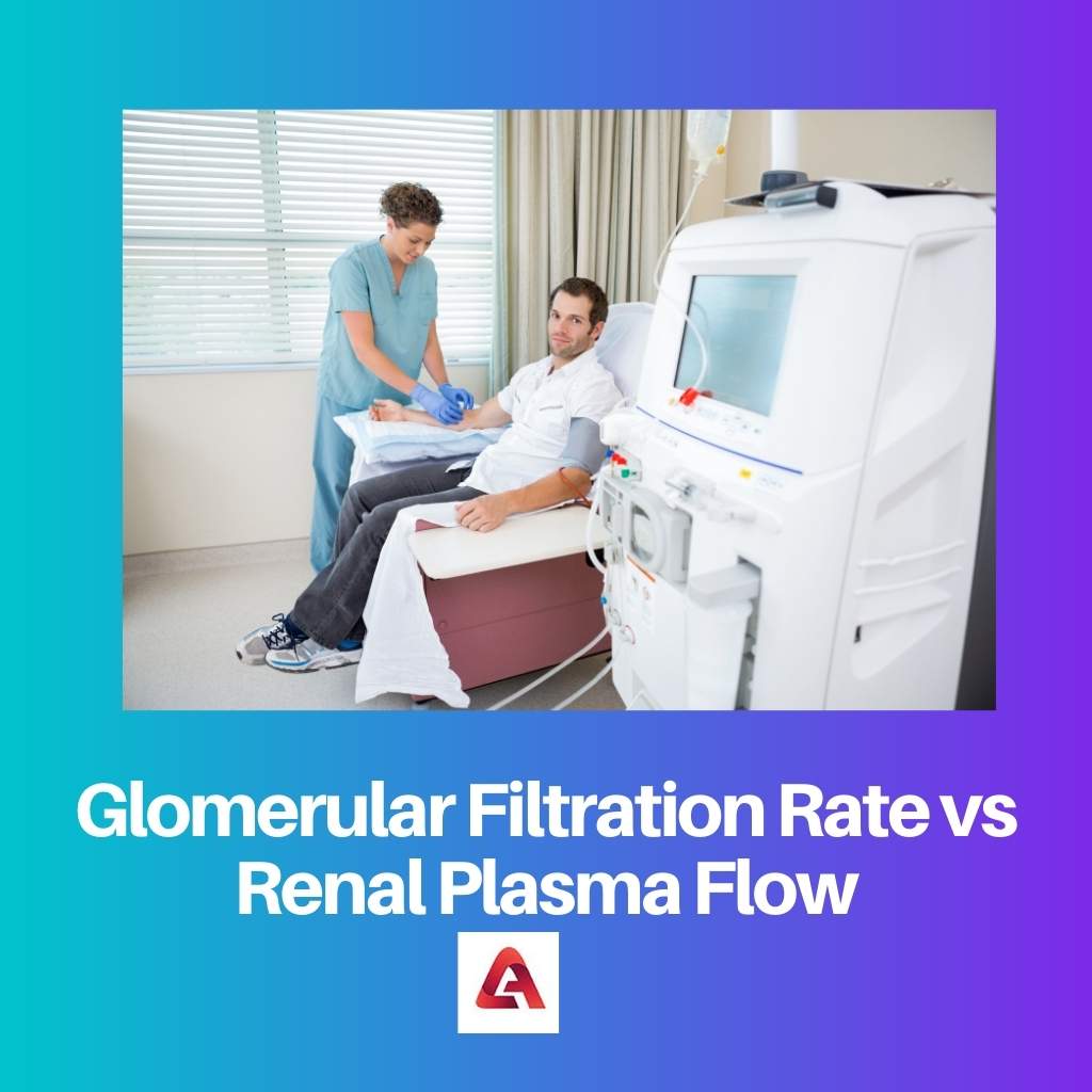 Glomerular Filtration Rate vs Renal Plasma Flow