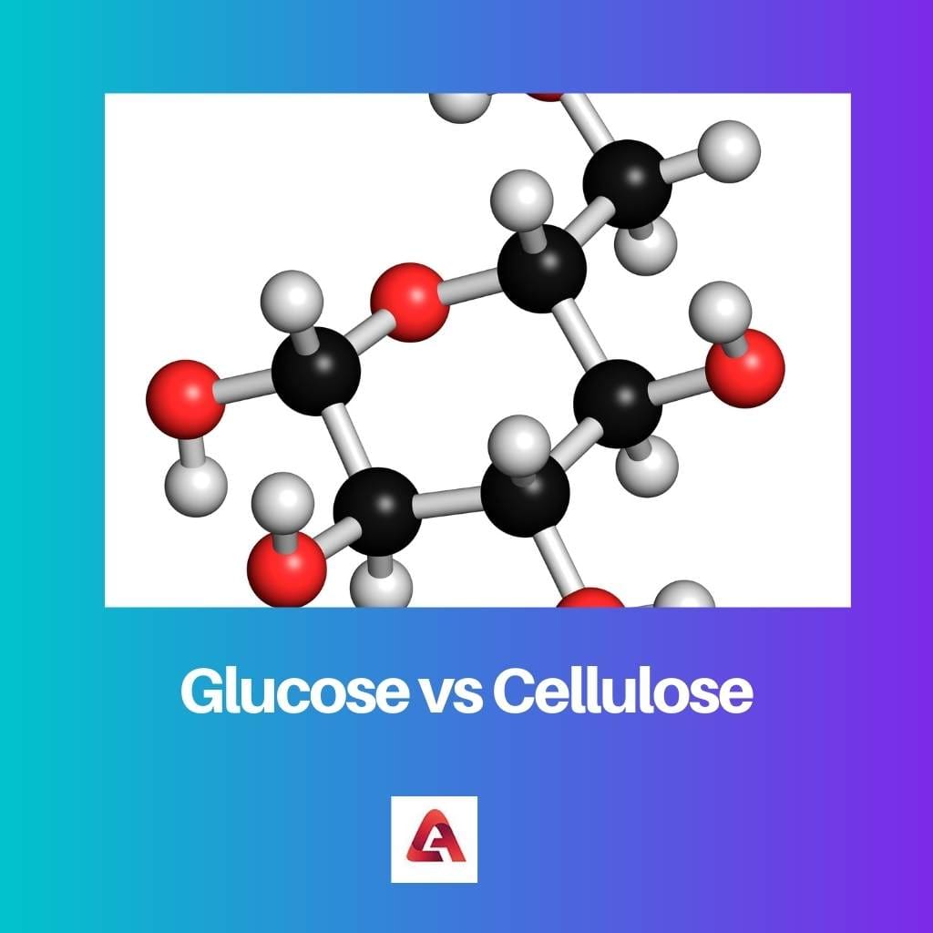 Glucose contre Cellulose