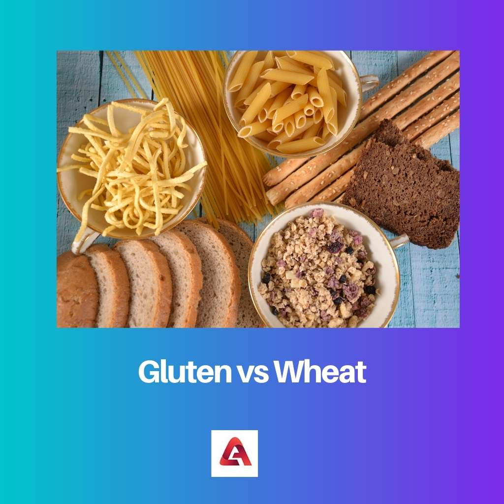 Gluten vs Wheat