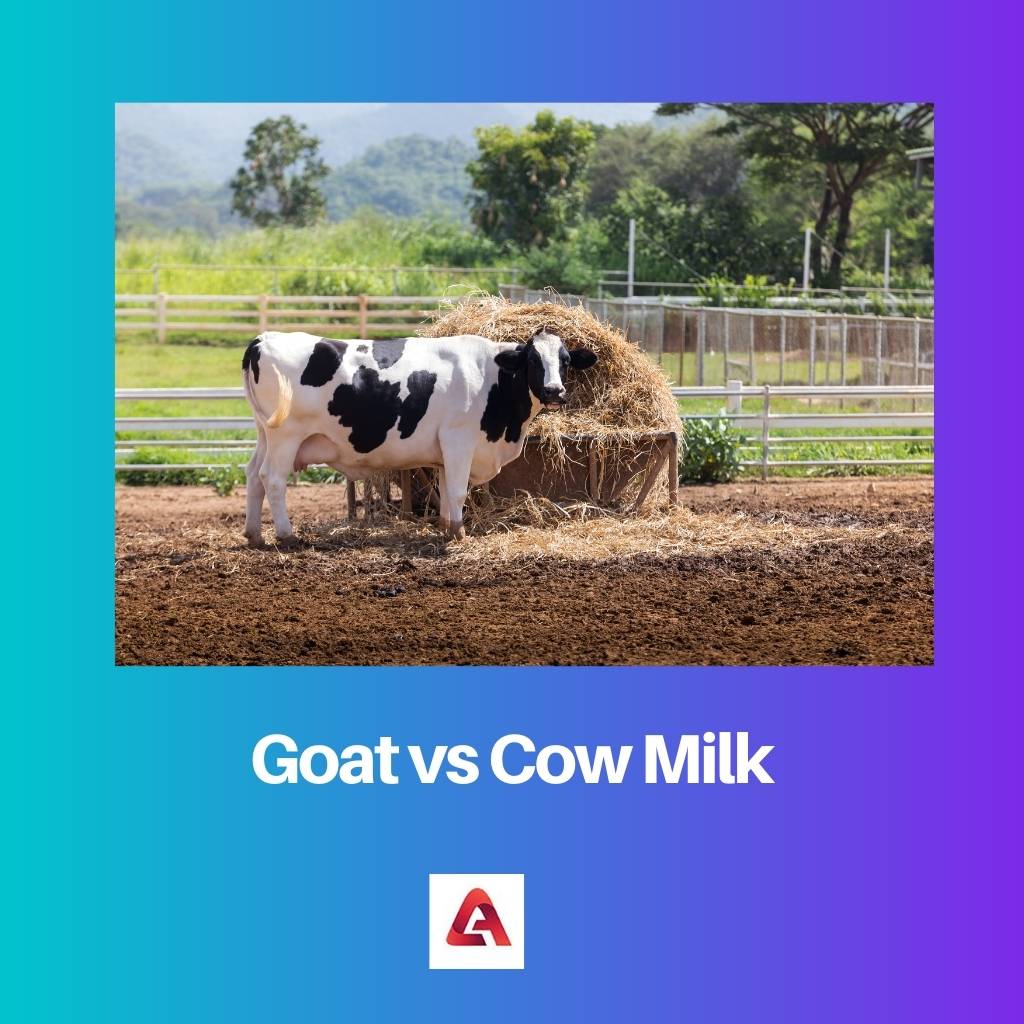 Goat vs Cow Milk