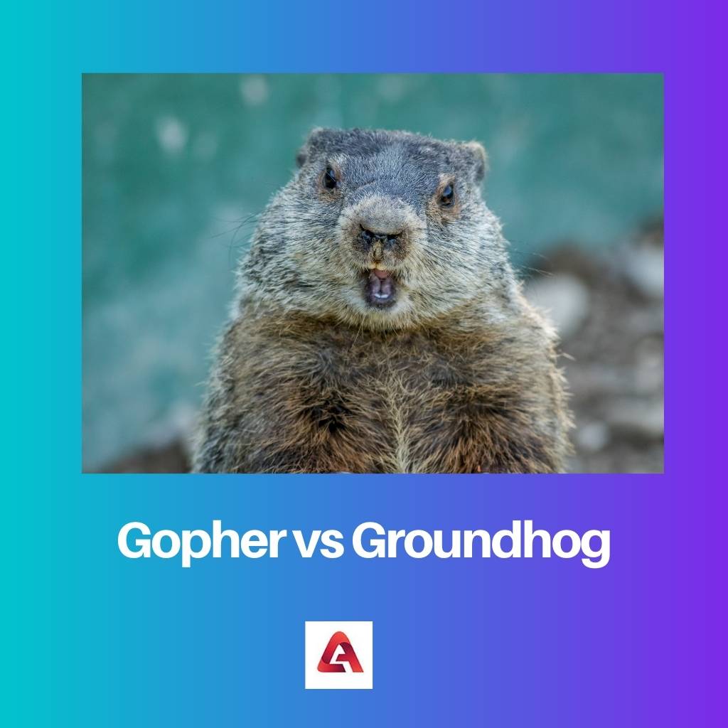 Gopher vs グラウンドホッグ