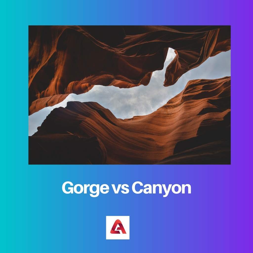 Gorge vs แคนยอน